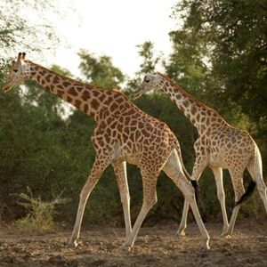 logo_mintoul_Français (7)