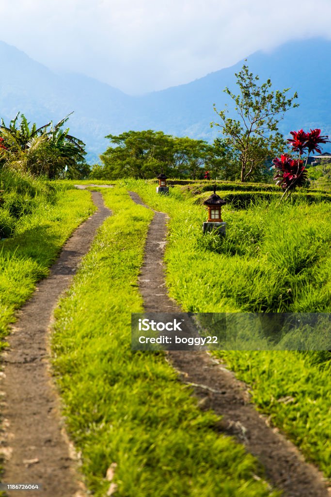 Route de kiiki, photographie publiée dans le répertoire du MINTOUL
